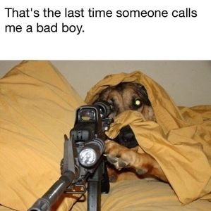 Meet your Posher, Timothy